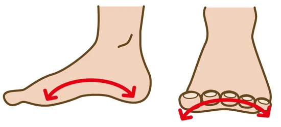 偏平足とは？