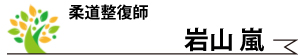 岩山嵐・柔道整復師