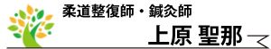 上原聖那・柔道整復師・鍼灸師